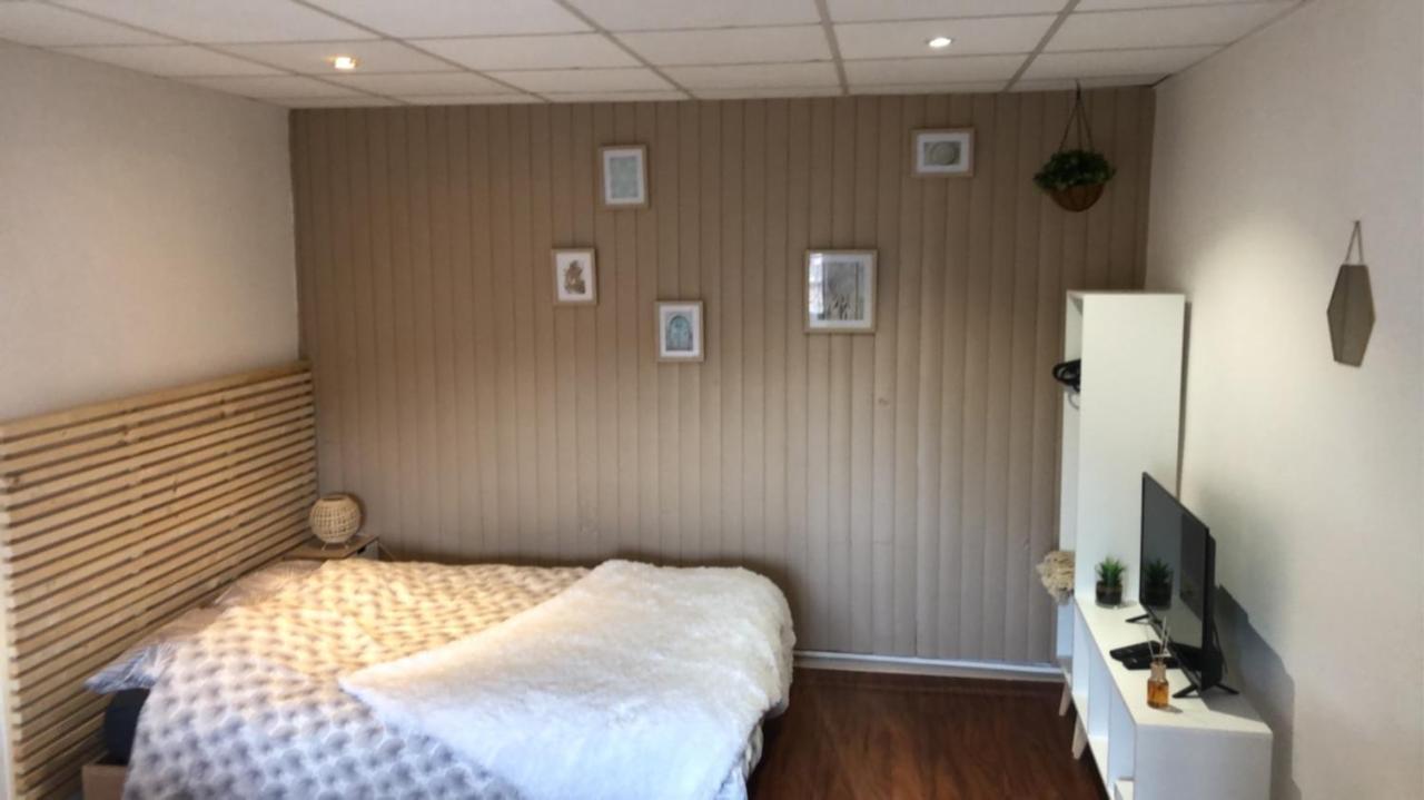 Apartment Le Printemps De Melusine Niort